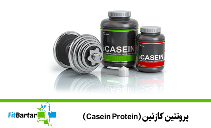 پروتئین کازئین (Casein Protein)