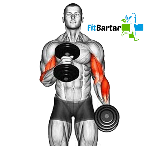 جلو بازو چکشی کراس بادی (Across Body Hammer Curl)