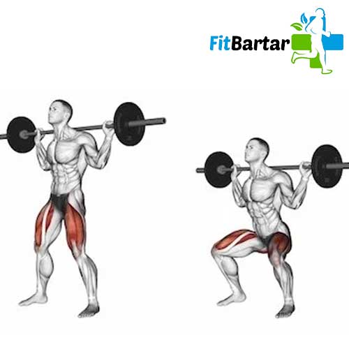 اسکوات پشت (Back Squat)