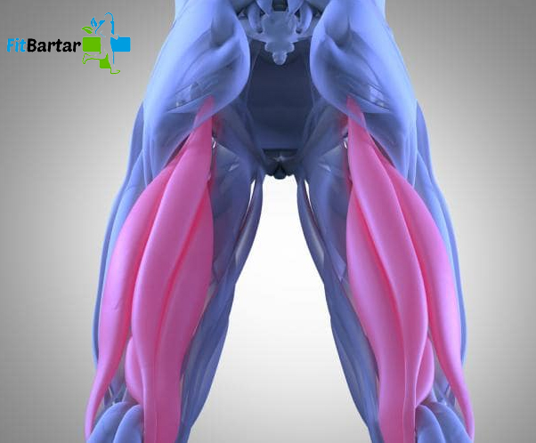 همسترینگ، گلوت و پشت