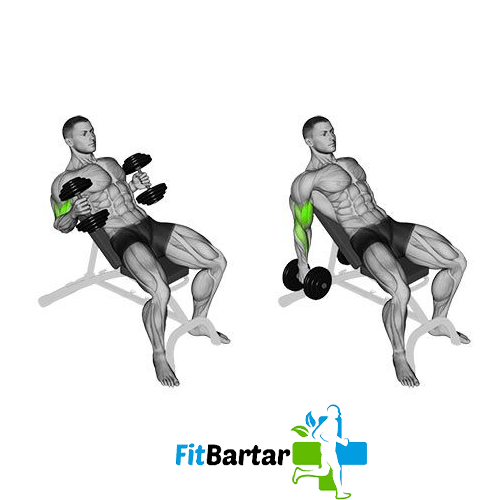 جلو بازو چکشی روی میز شیبدار (Incline Hammer Curl)