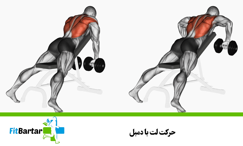 حرکت لت با دمبل