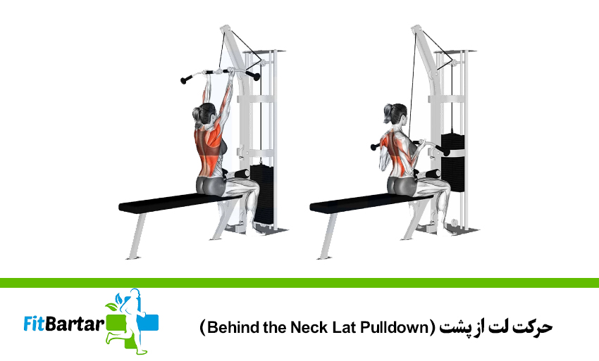 حرکت لت از جلو با دست برعکس (Reverse Grip Lat Pulldown)