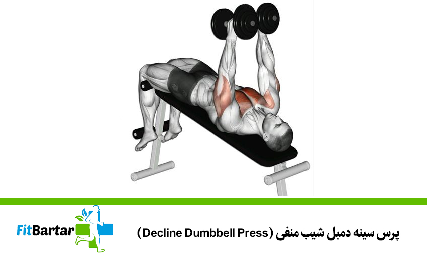 پرس سینه دمبل شیب منفی (Decline Dumbbell Press)