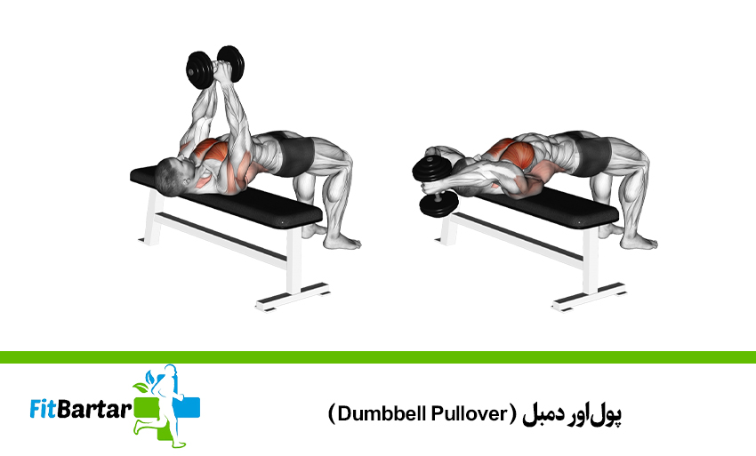 پولاور دمبل (Dumbbell Pullover)