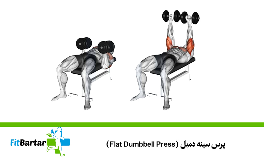 پرس سینه دمبل (Flat Dumbbell Press)