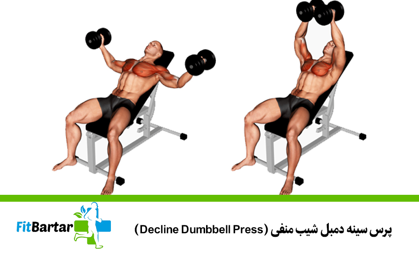 فلای دمبل شیب مثبت (Incline Dumbbell Fly)
