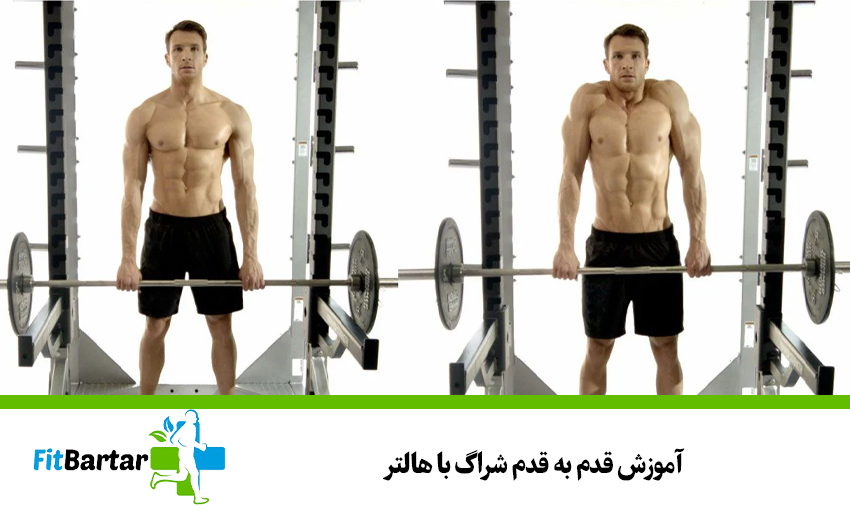 آموزش قدم به قدم شراگ با هالتر