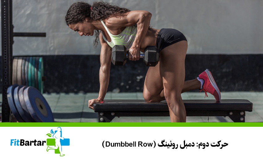 حرکت دوم: دمبل روئینگ (Dumbbell Row)