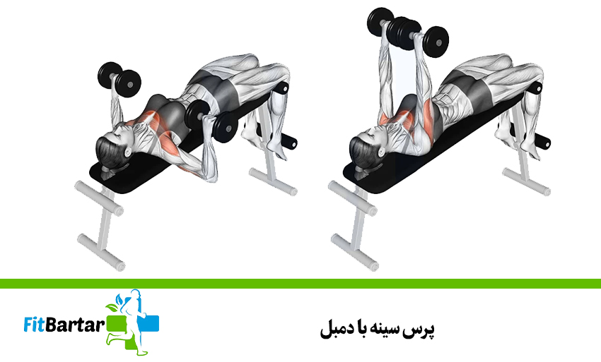 پرس سینه با دمبل