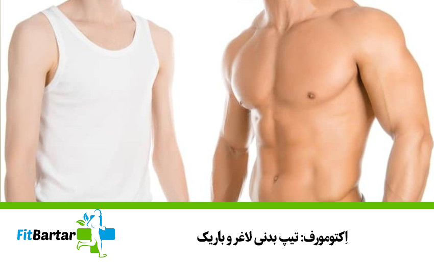 اِکتومورف: تیپ بدنی لاغر و باریک