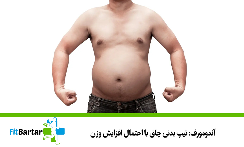 آندومورف: تیپ بدنی چاق با احتمال افزایش وزن