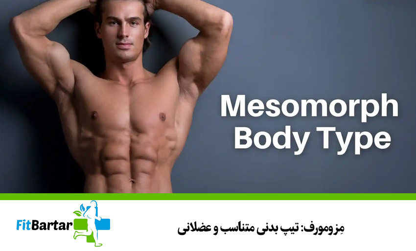 مِزومورف: تیپ بدنی متناسب و عضلانی