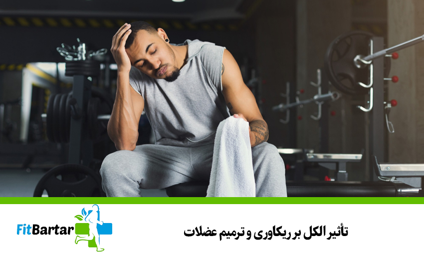 تأثیر الکل بر ریکاوری و ترمیم عضلات