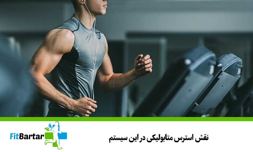 نقش استرس متابولیکی در این سیستم