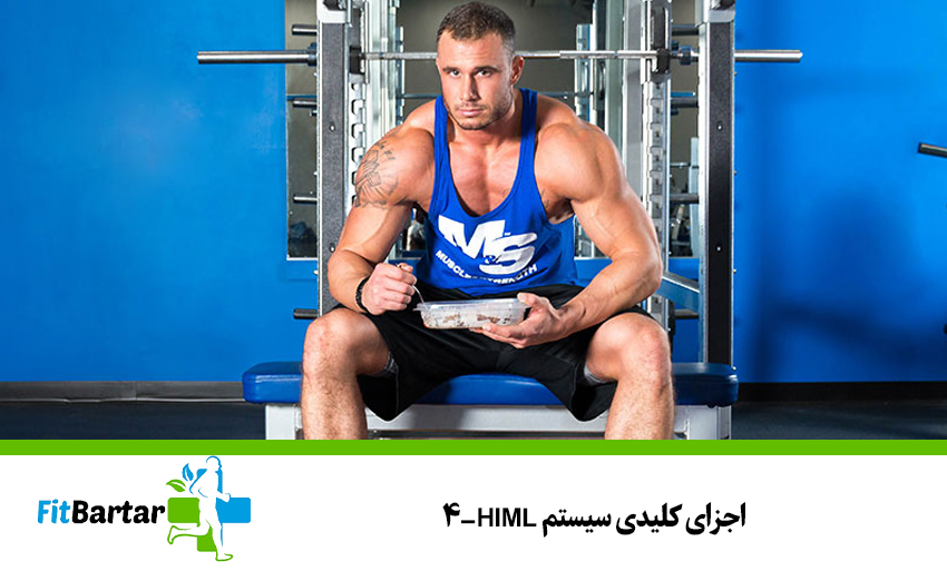 اجزای کلیدی سیستم HIML-4